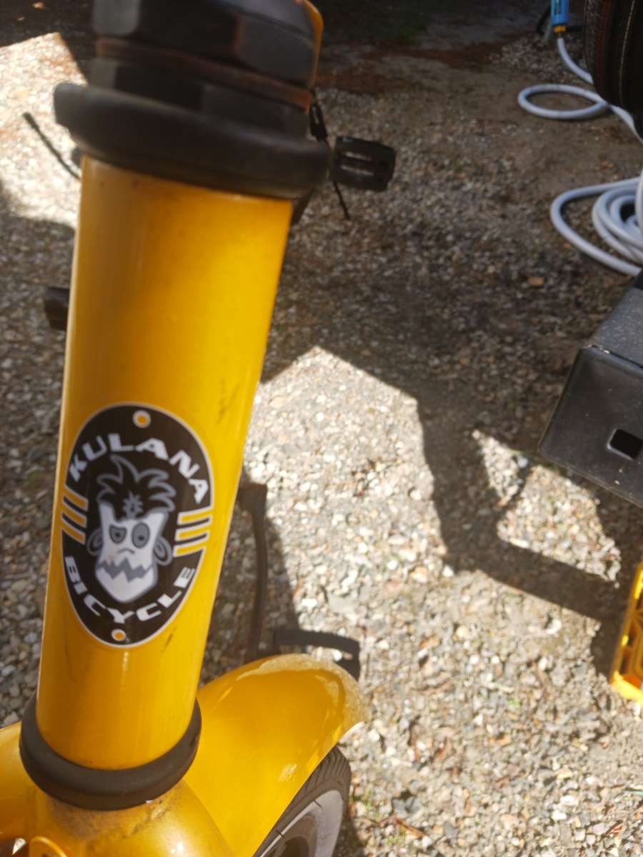 Pacific Kulana lua Tandem bike