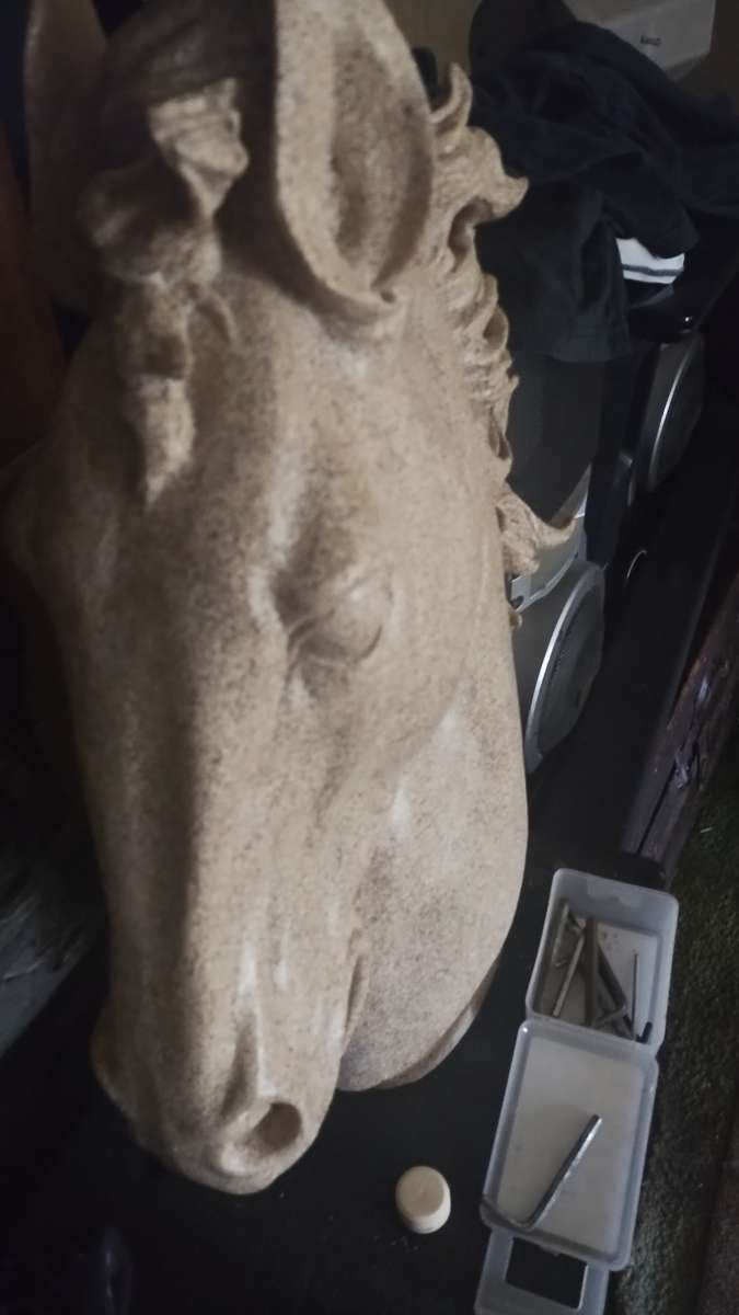 horse head