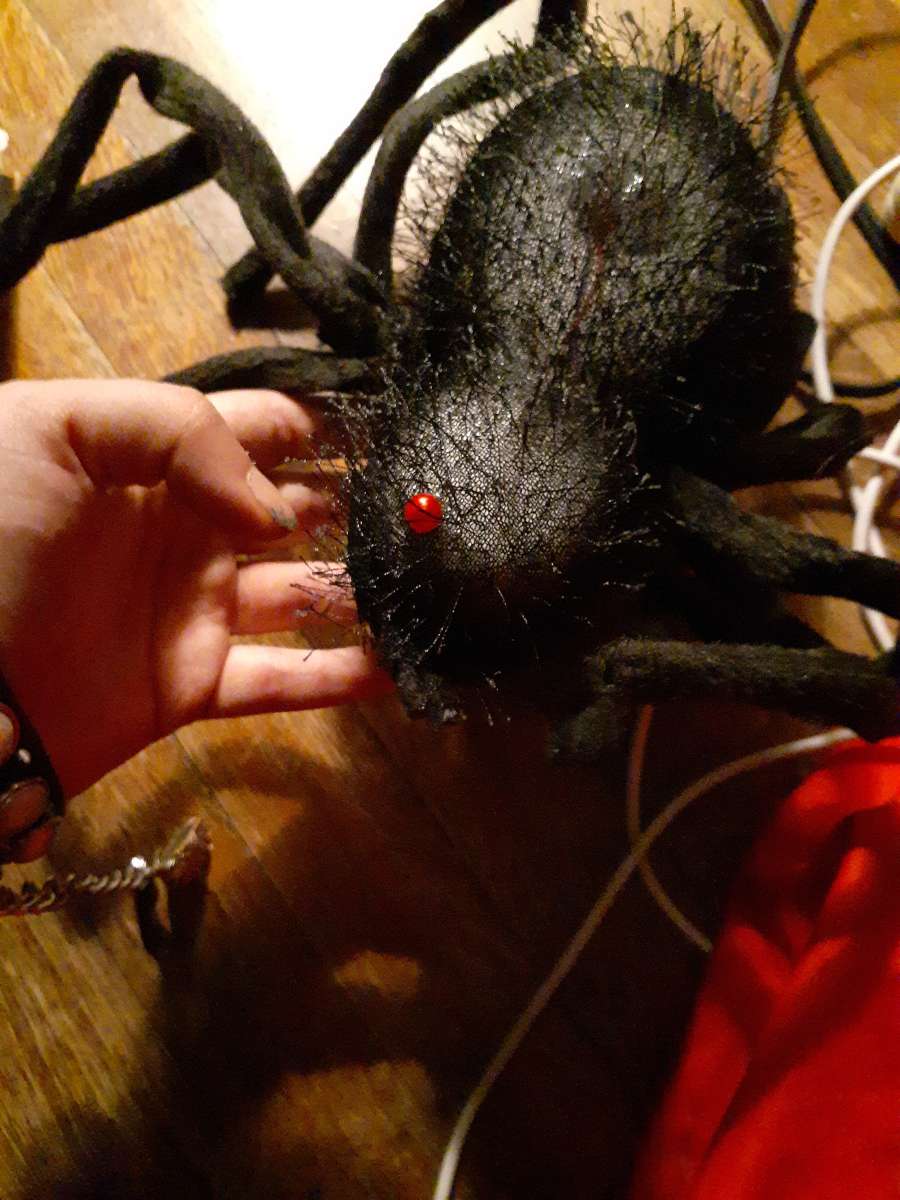 black spider decor for Halloween