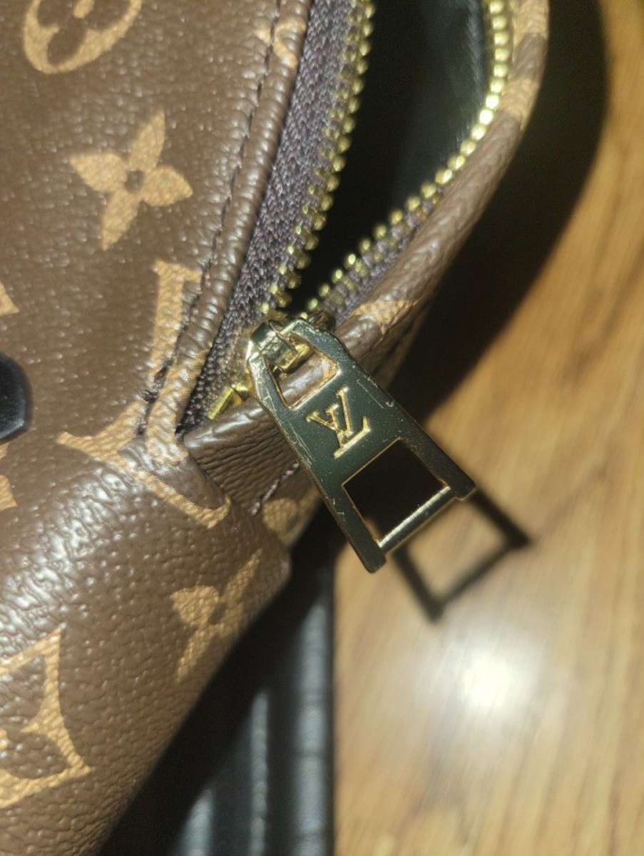 Louis Vuitton Palm Springs Mini
