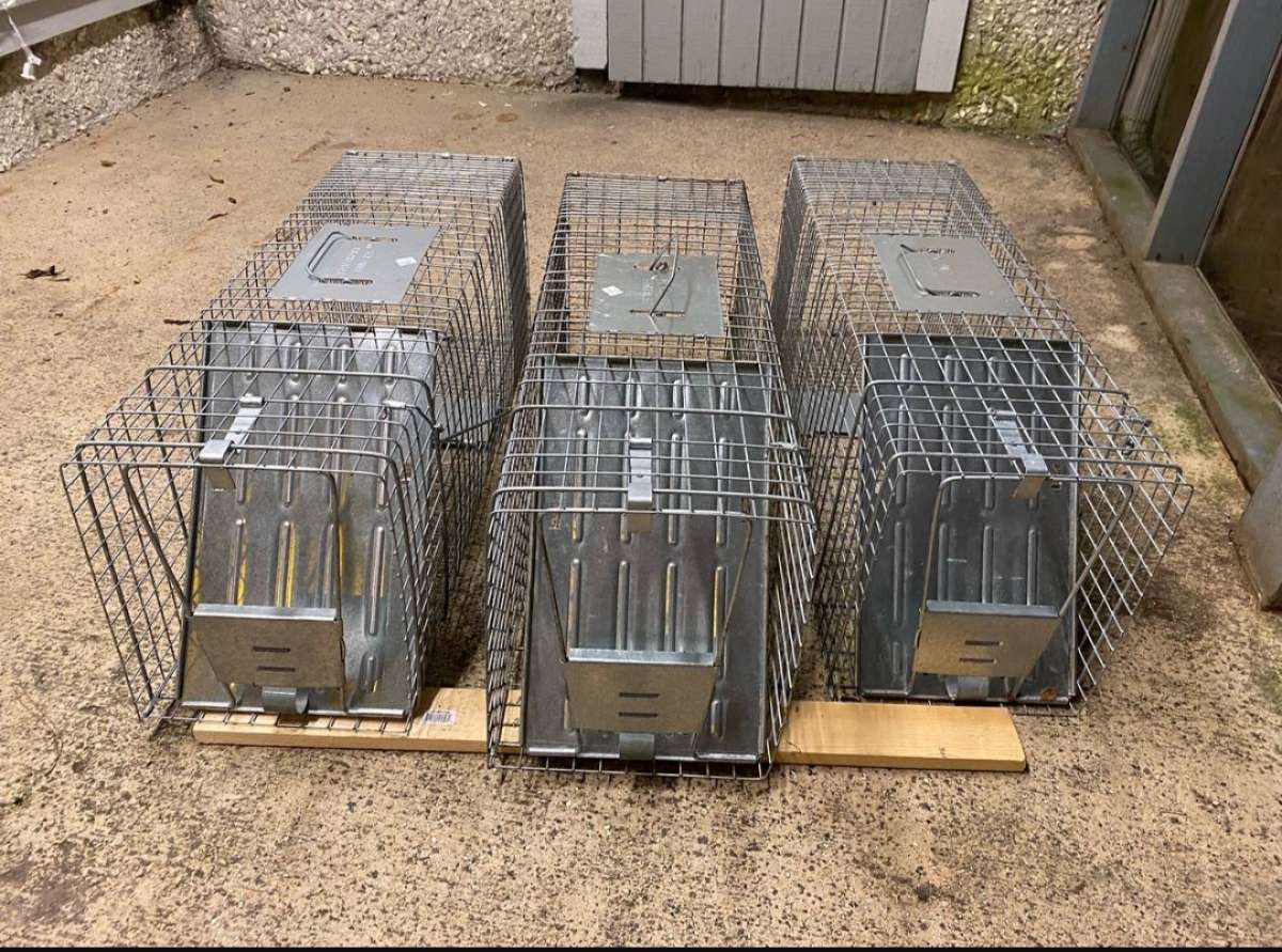 Animal Traps