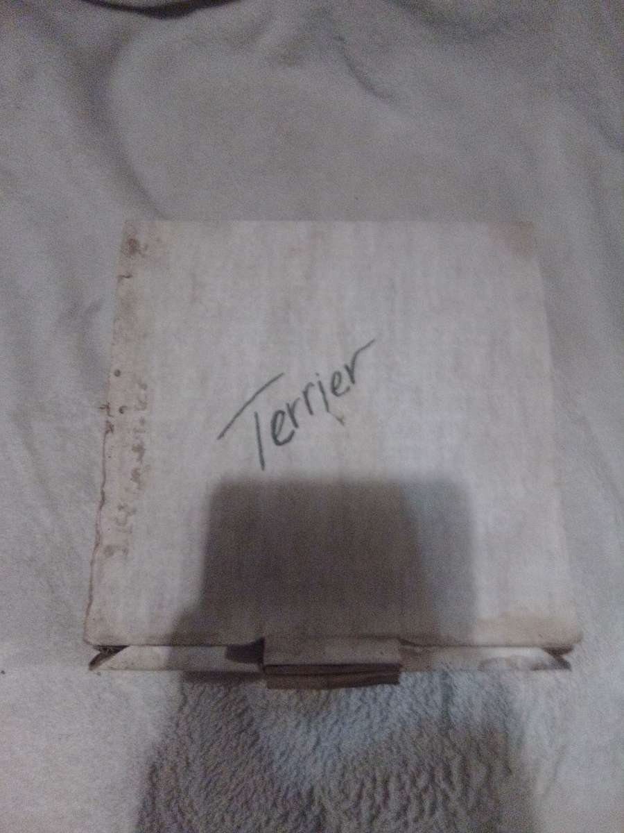 Droguett First Birthday Puppys world collectible Plate