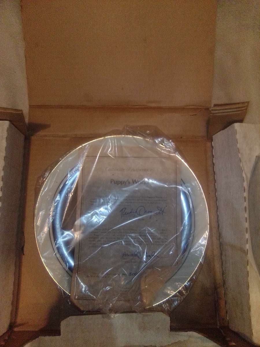 Droguett First Birthday Puppys world collectible Plate