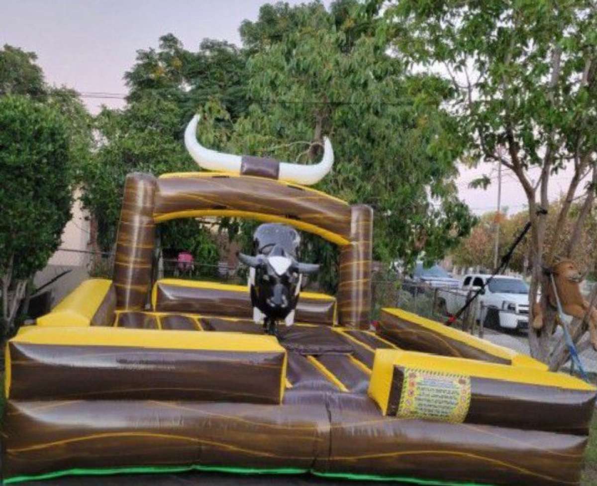 mechanical bull