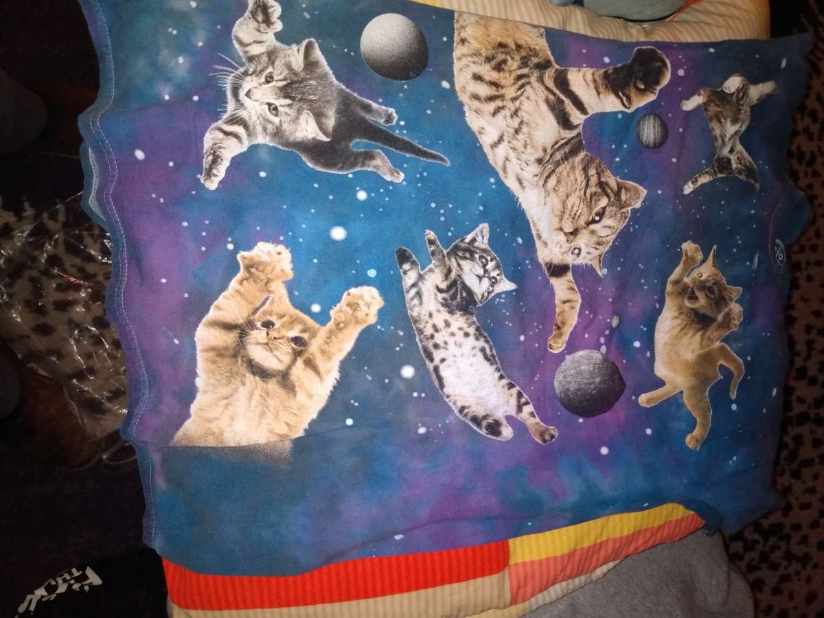 CATS IN SPACE TSHIRT