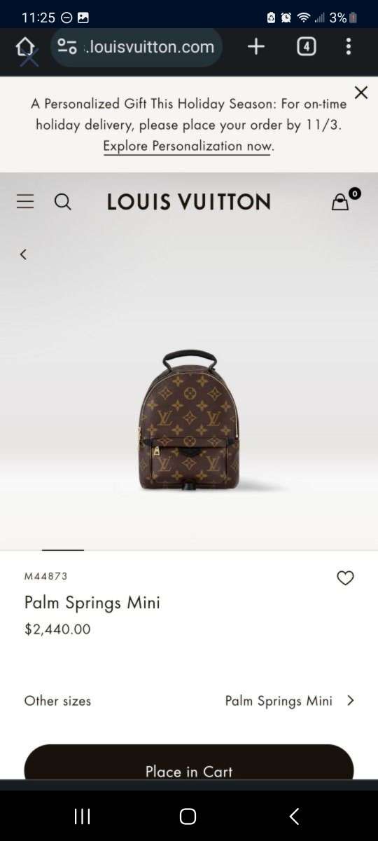 Louis Vuitton Palm Springs Mini
