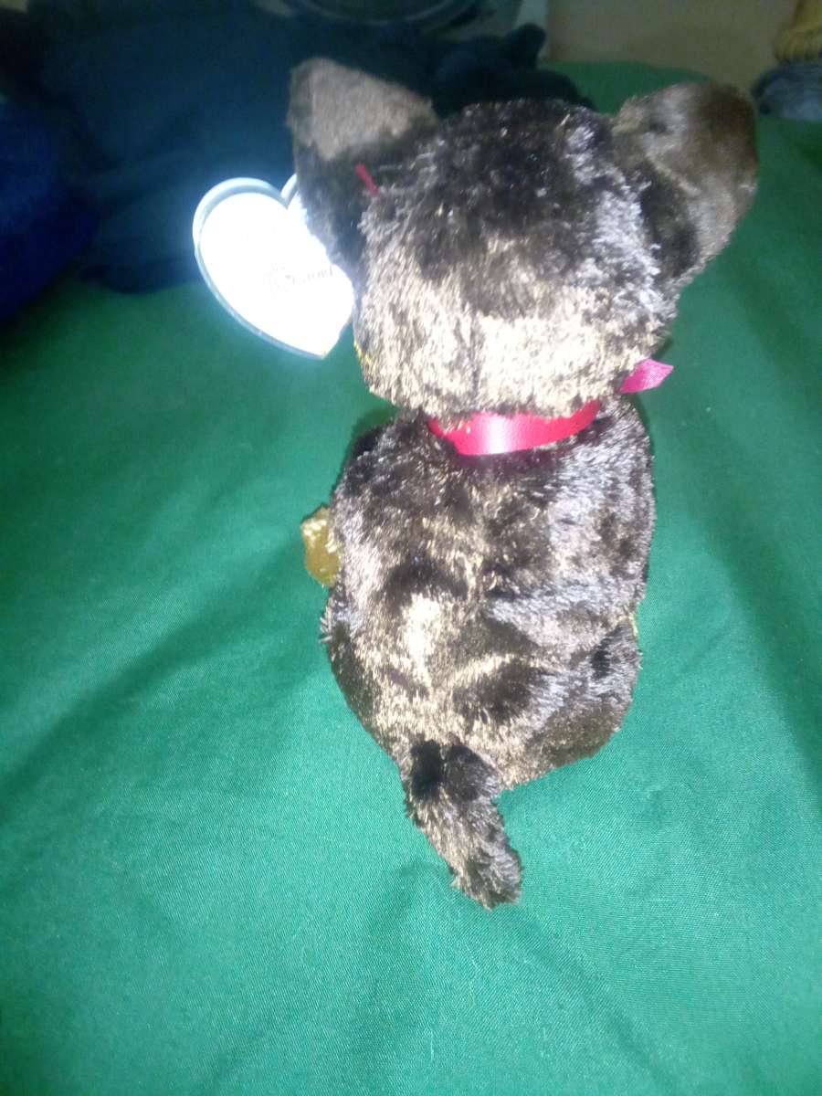 2003 Ty beanie babies Amigo mint condition selling collectio