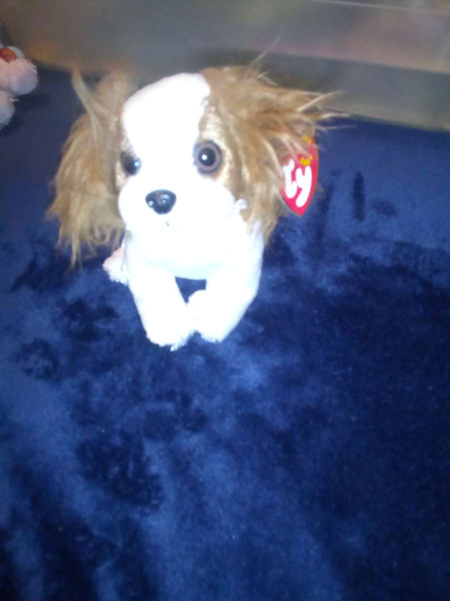 2001 Ty beanie babies regal mint selling collection off