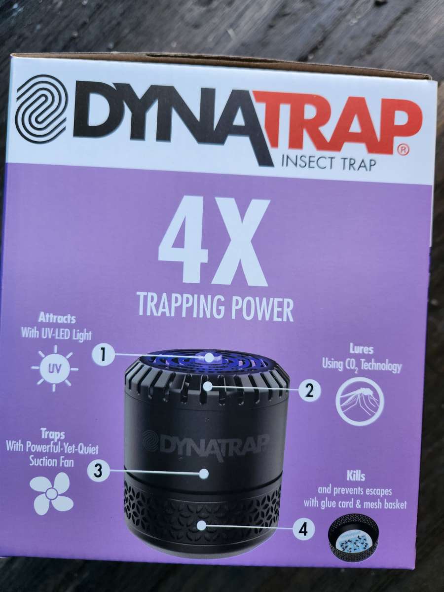 insect trap