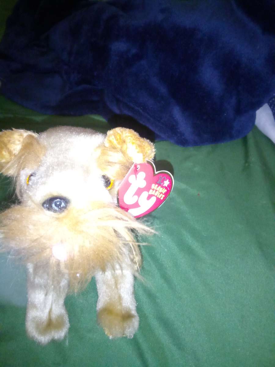 2002 Ty beanie babies 10 yrs Schnitzel mint selling collecti