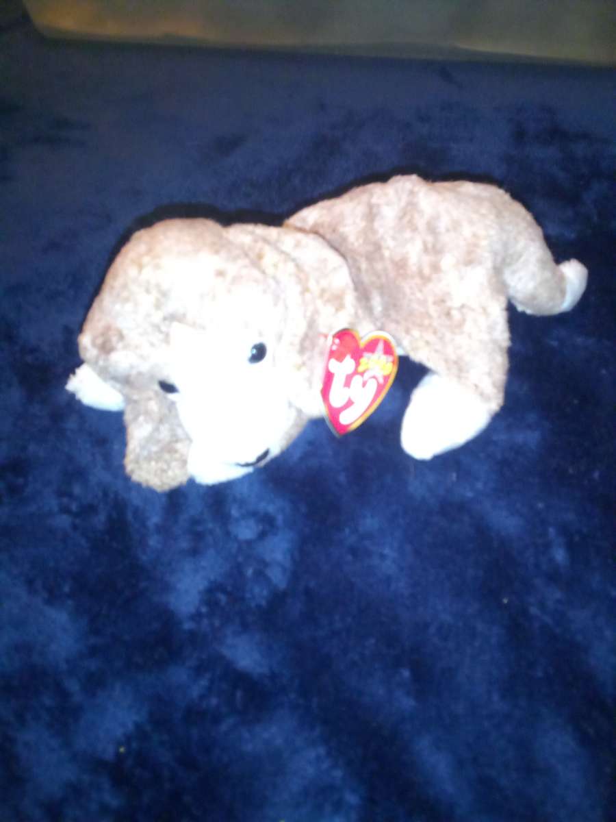 2000 Ty beanie babies sniffer mint selling collection off