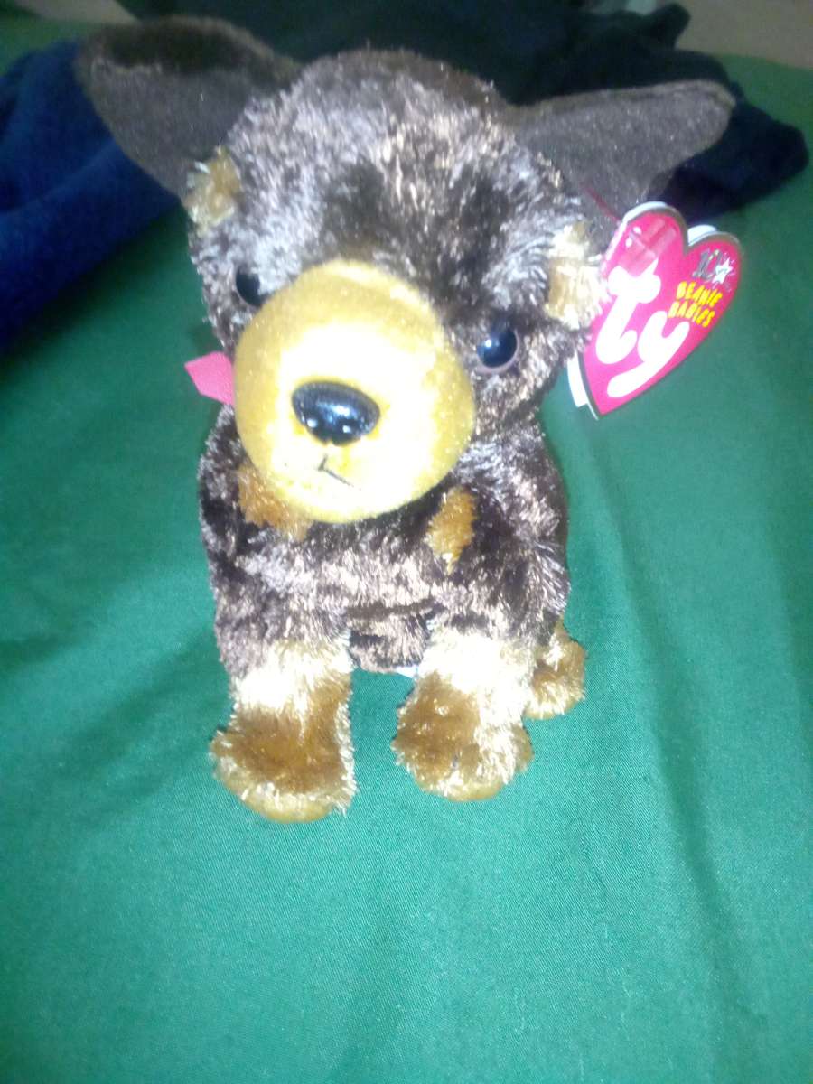 2003 Ty beanie babies Amigo mint condition selling collectio