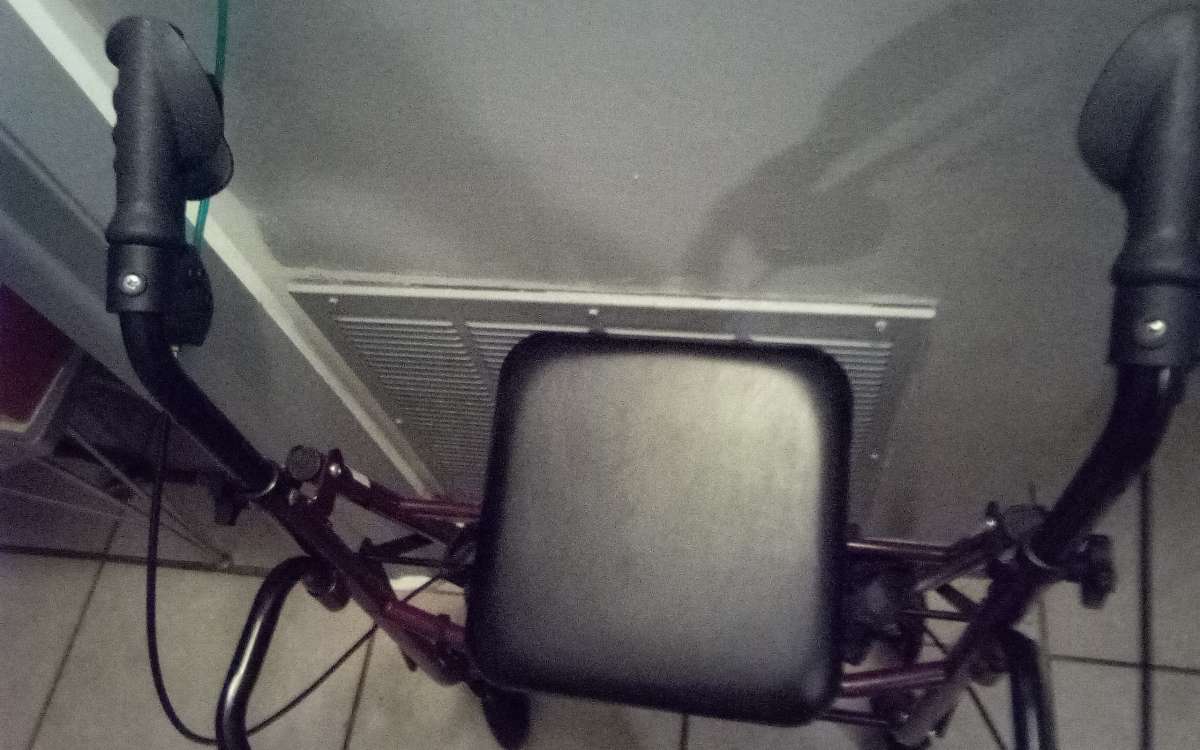 Wolker Whit seat caminador con aciento