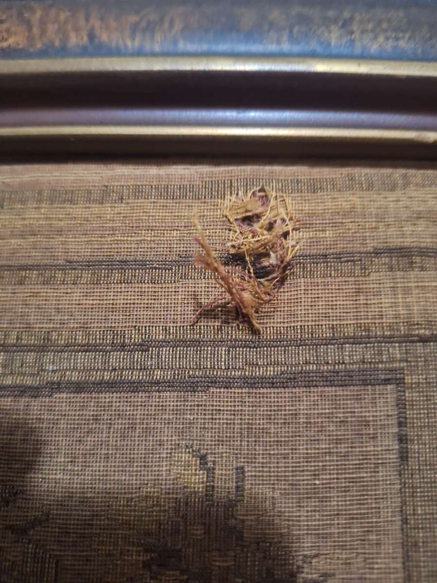 19th Century cloth etching beautiful framed