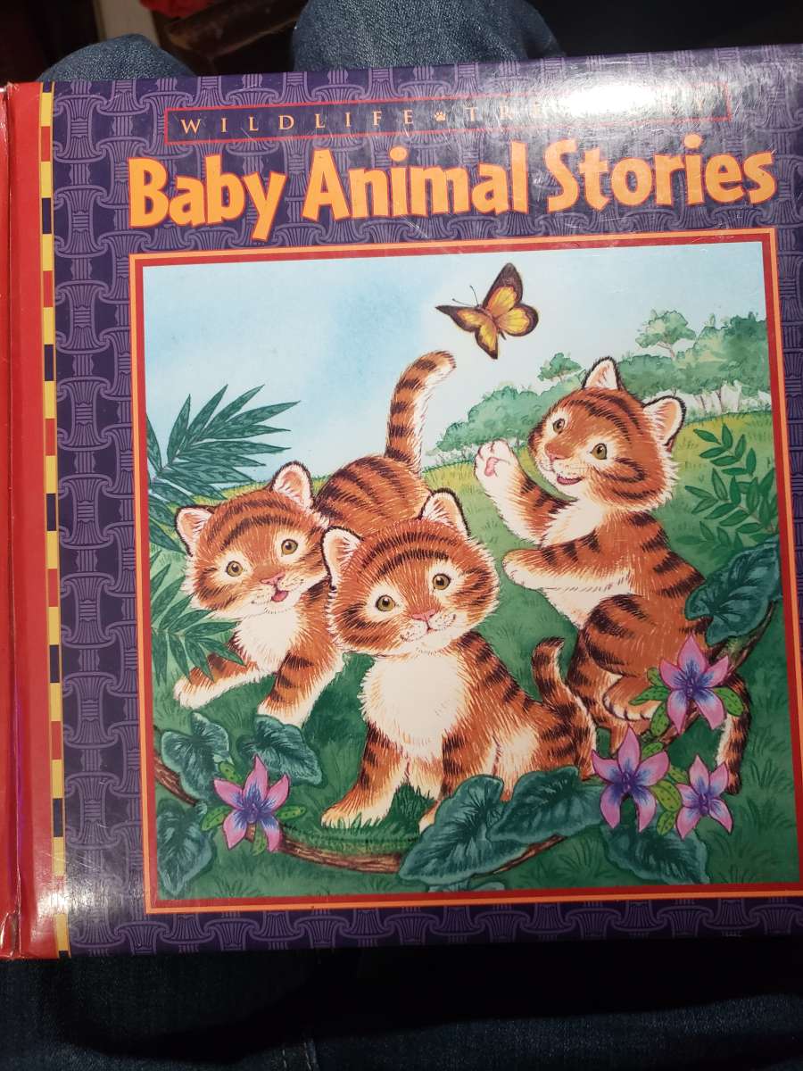 baby animals