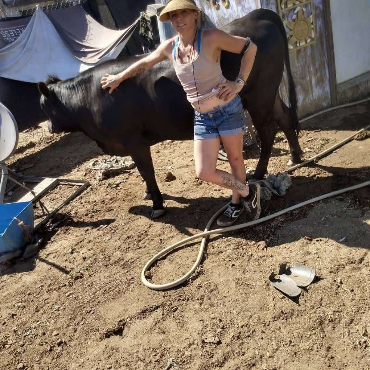 Bags of Fresh Manure