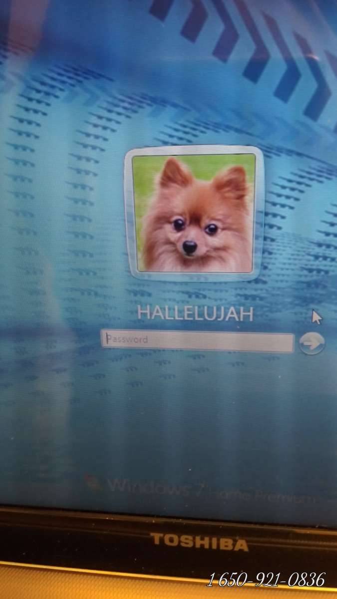 great one magically one