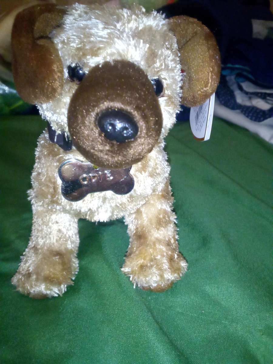 2004 Ty beanie babies Odie mint selling collection off