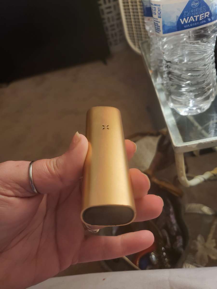 Pax 3
