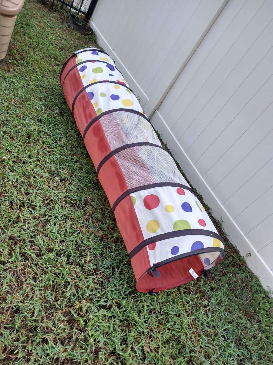 toddler crawl through tunnel
