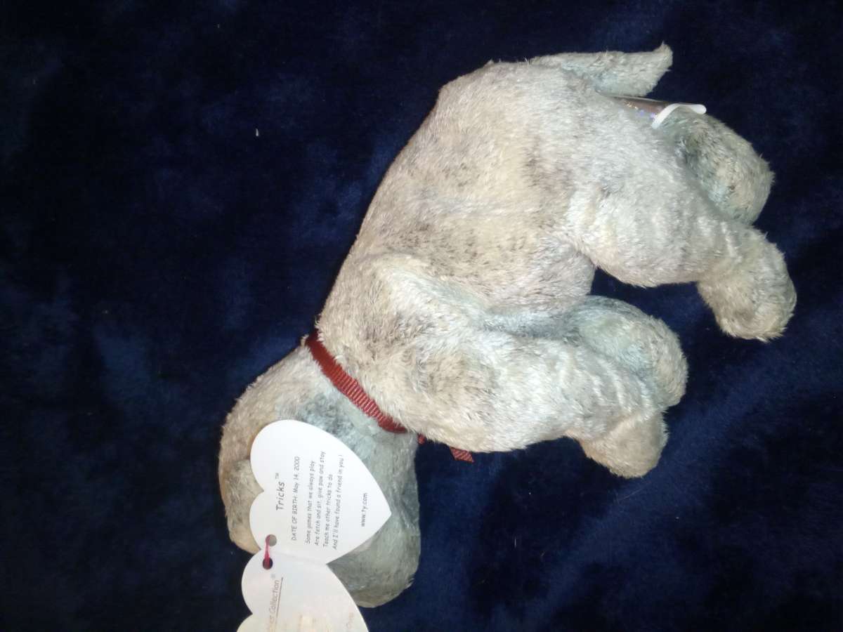 2000 Ty beanie babies Tricks mint selling collection off