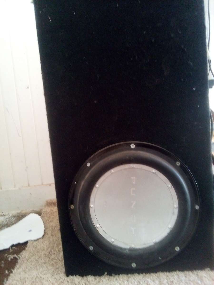 punch woofer speaker
