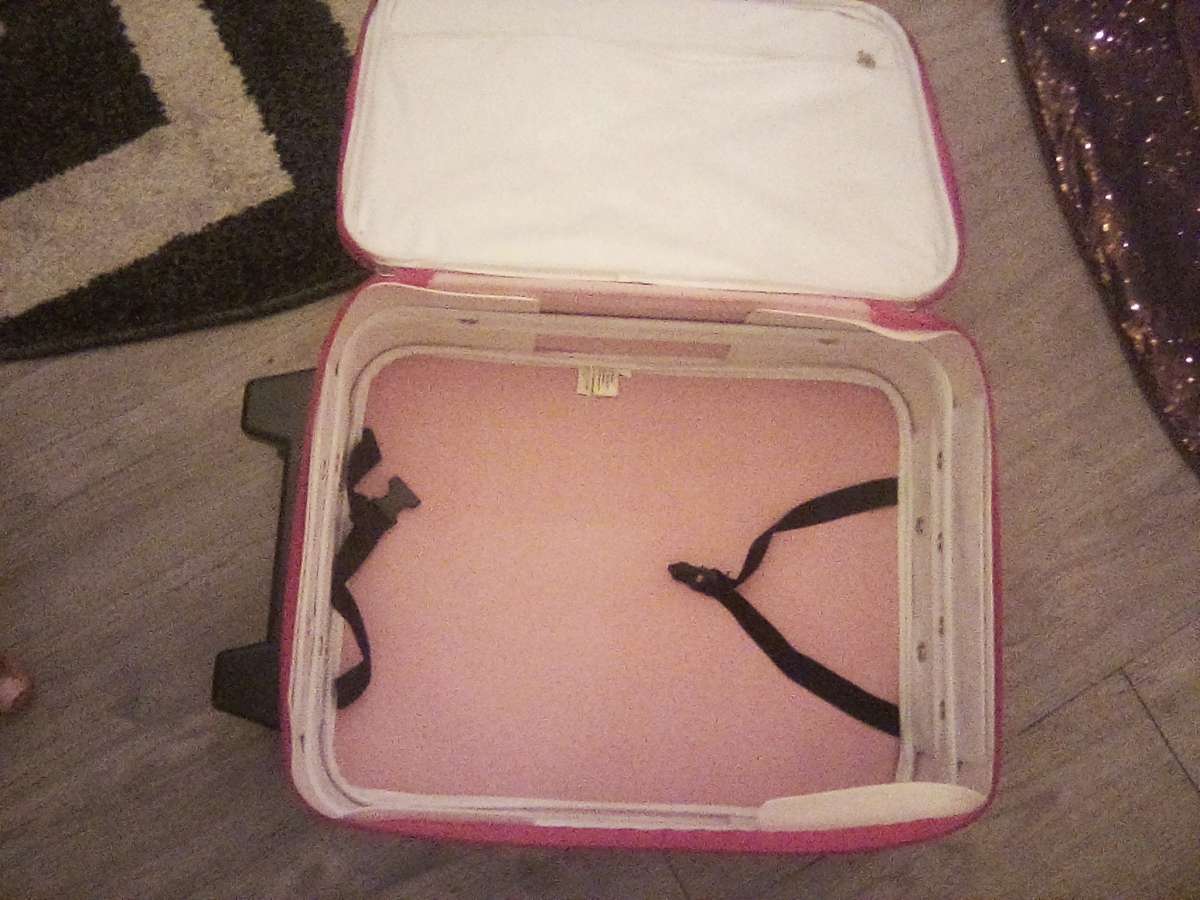 90s Vintage Rugrats suitcase