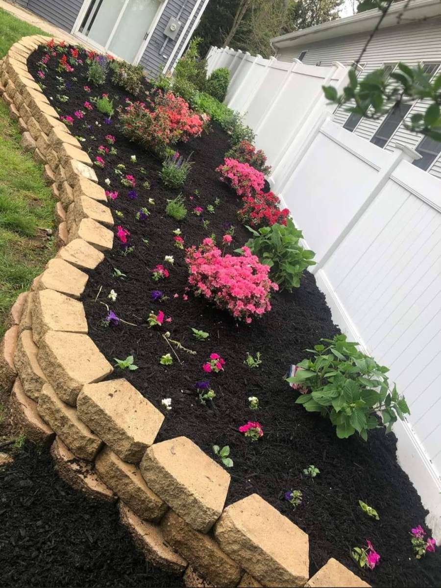 Servicio De Jardineria