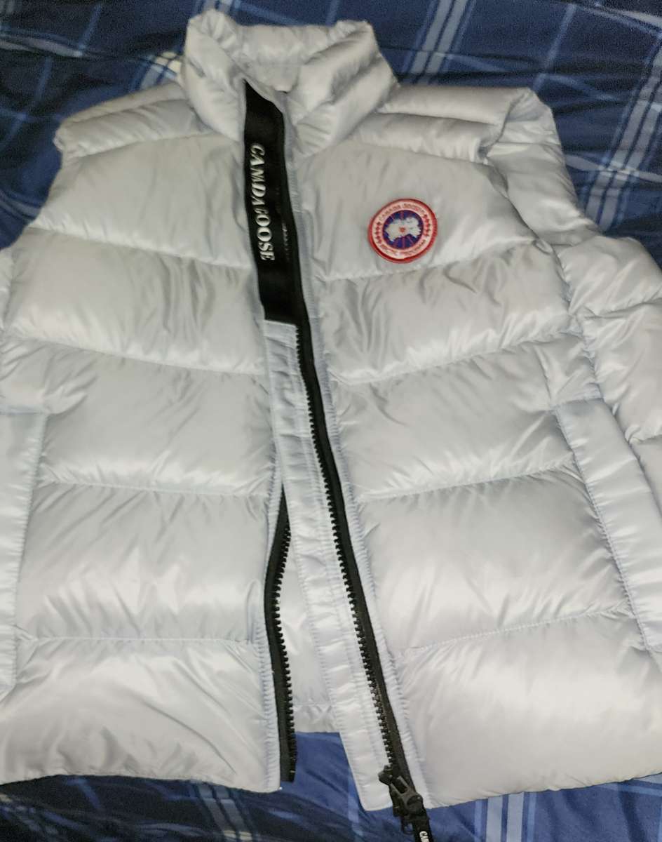 canada goose