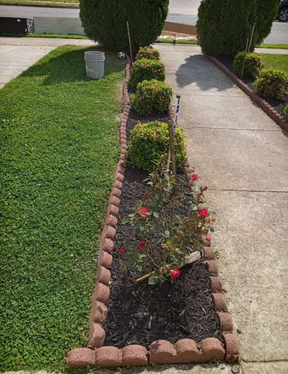 Servicio De Jardineria