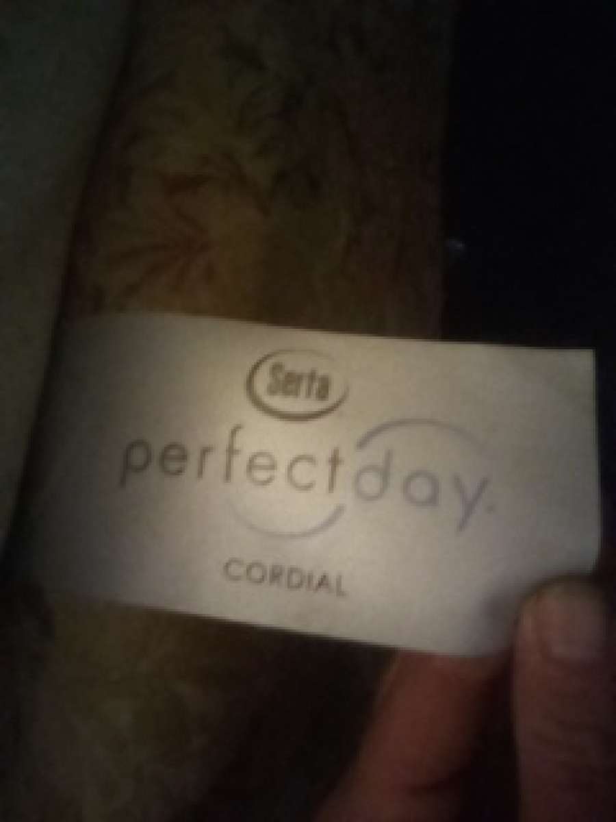 a big California king bed with serta hybrid mattress