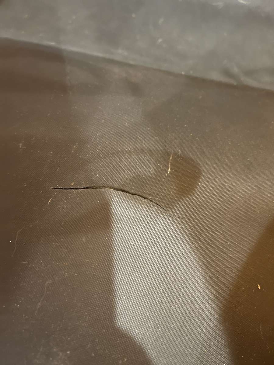 Schwinn dog trailer to attach to bike