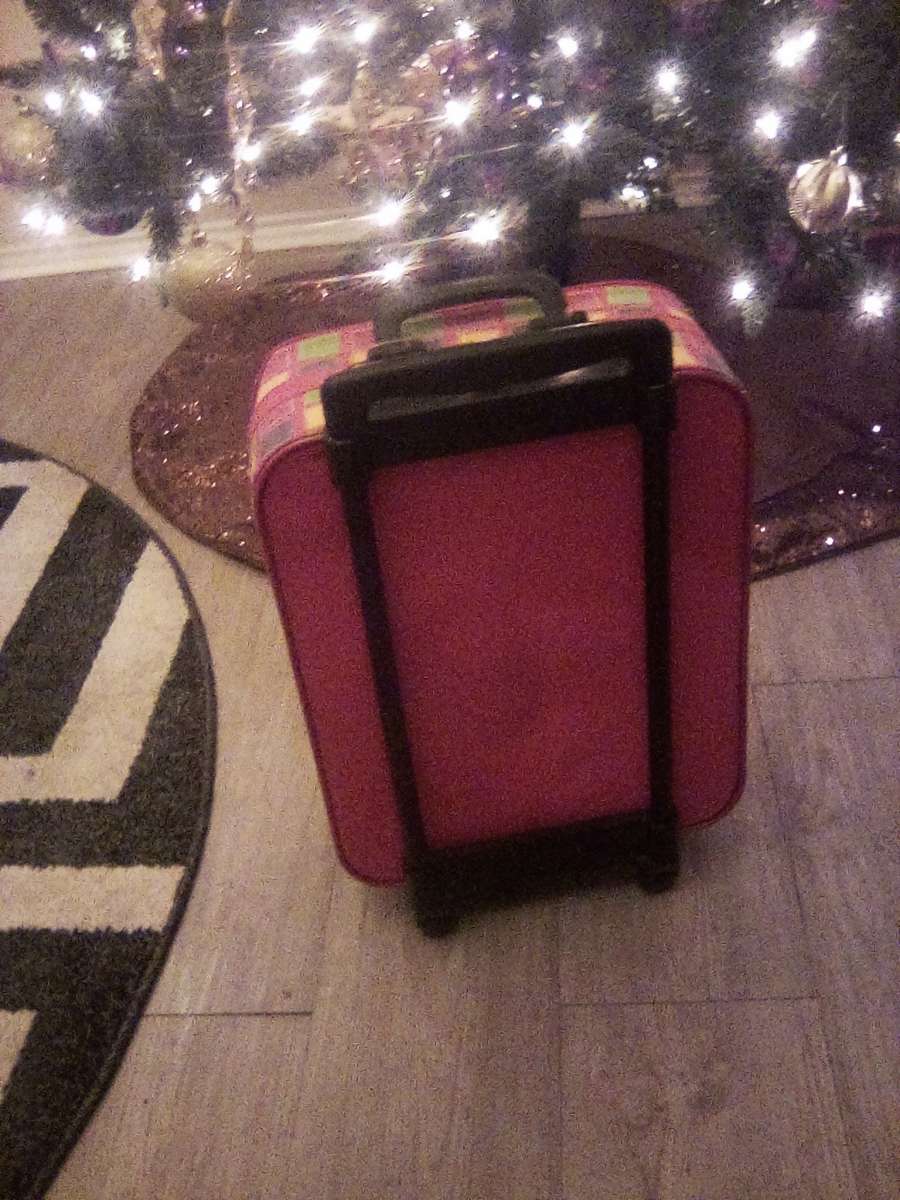 90s Vintage Rugrats suitcase