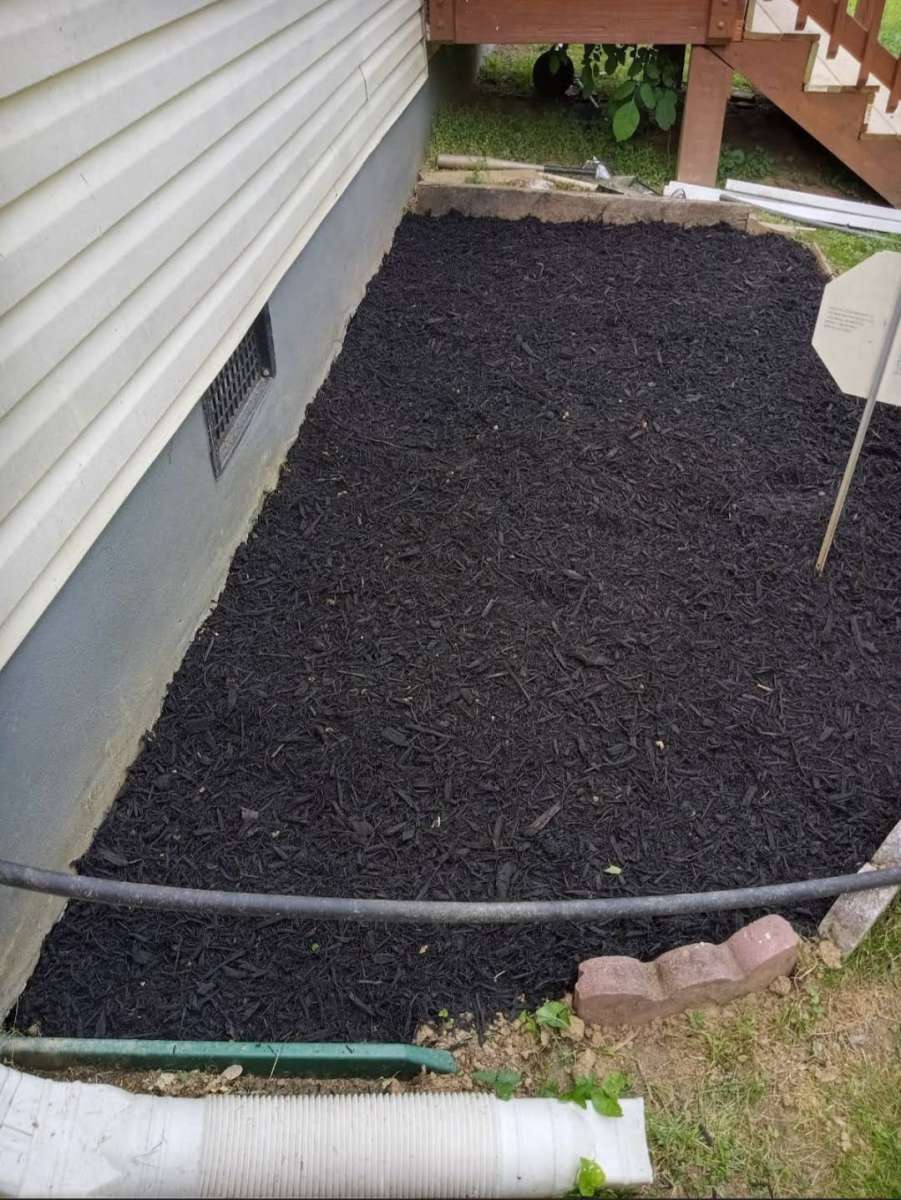 Servicio De Jardineria