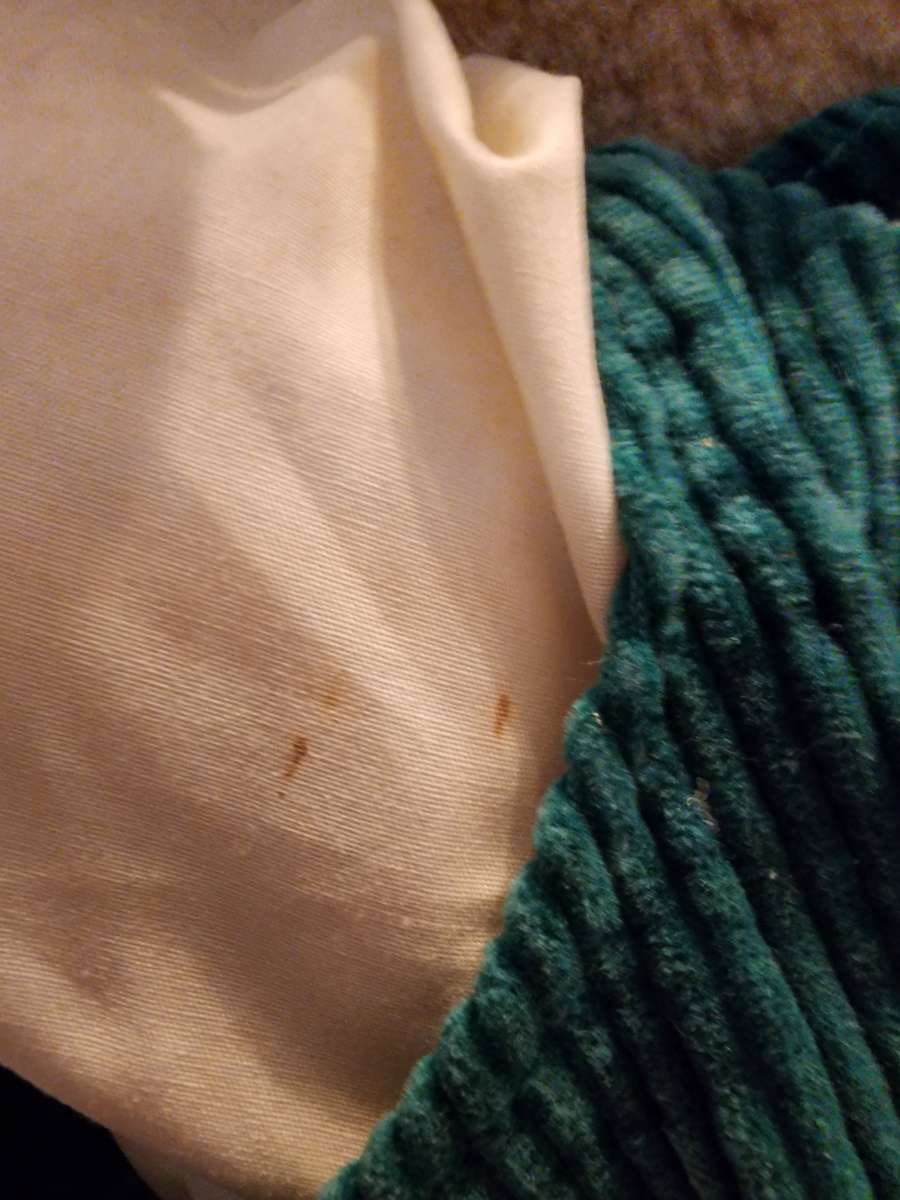 Vintage Animated Mouse