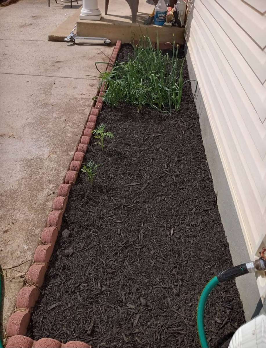 Servicio De Jardineria