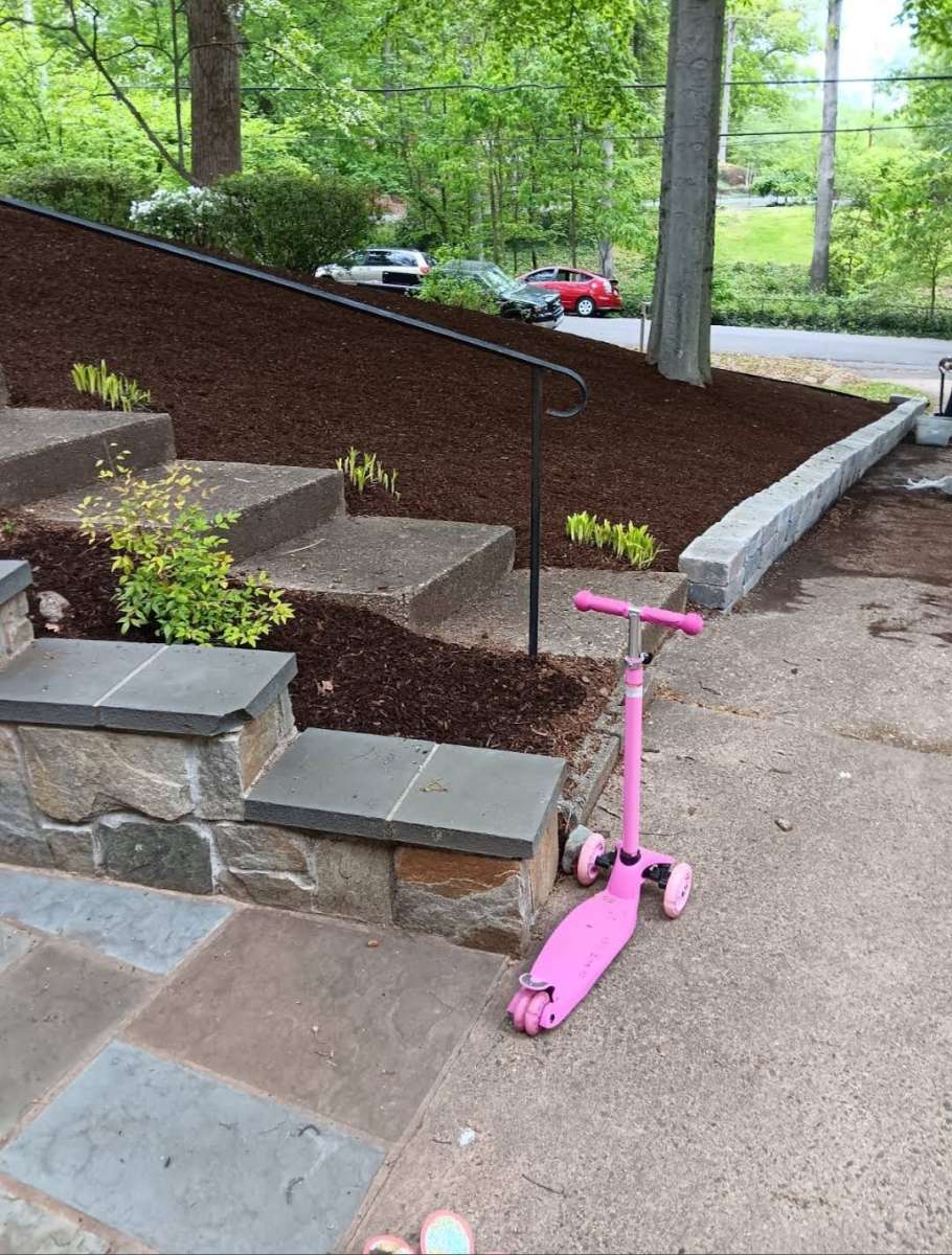 Servicio De Jardineria