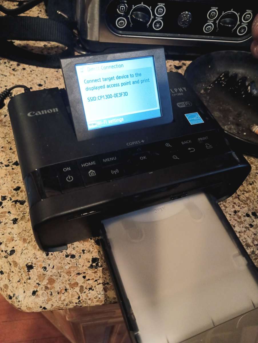 a Canon 1300 CP selfie printer