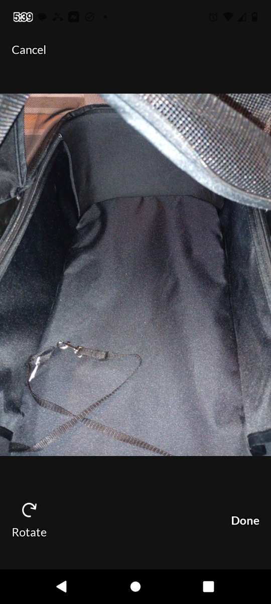 Dog Carseat and stroller combo