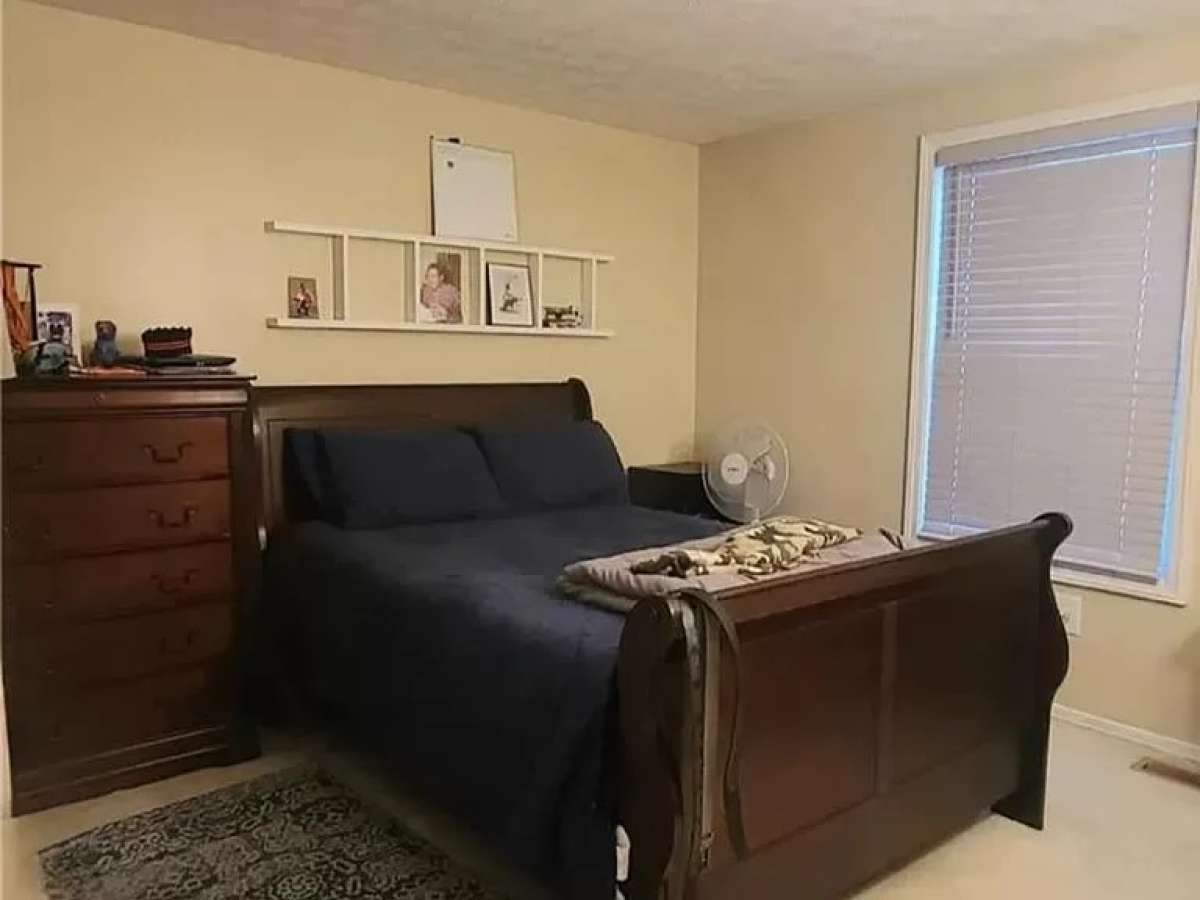 house for rent