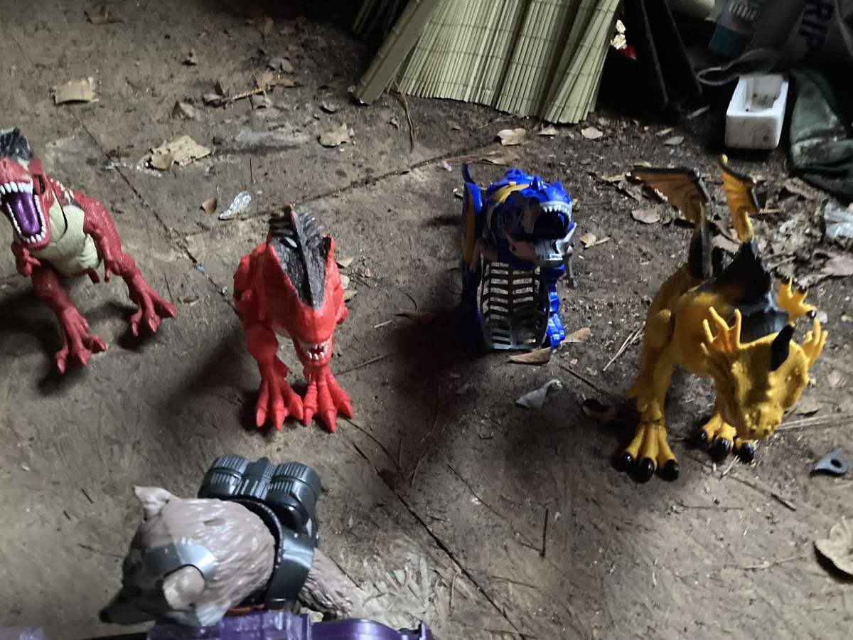 Dinosaurs and Dragon