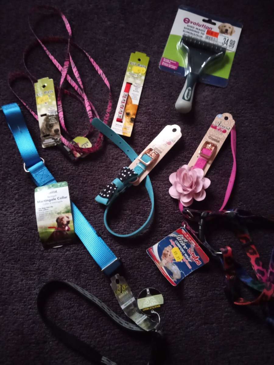Pet Collars