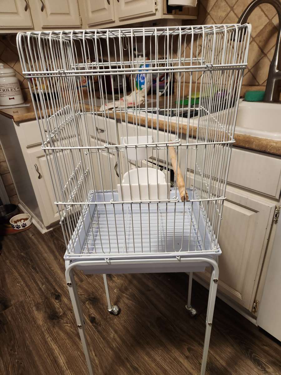 tall white wire birdcage
