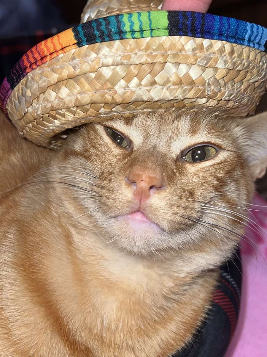 sombrero straw hat for dolls