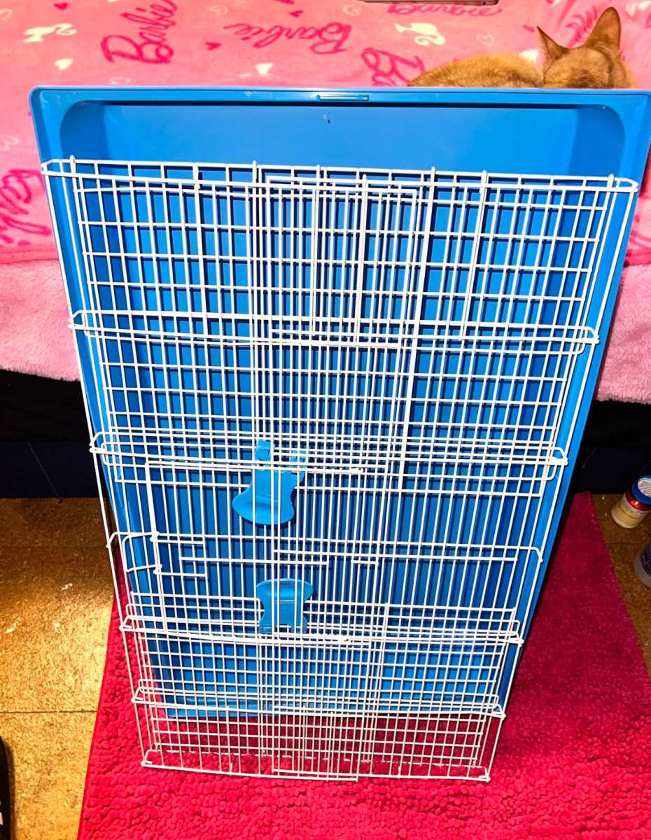 cage needs to go asap