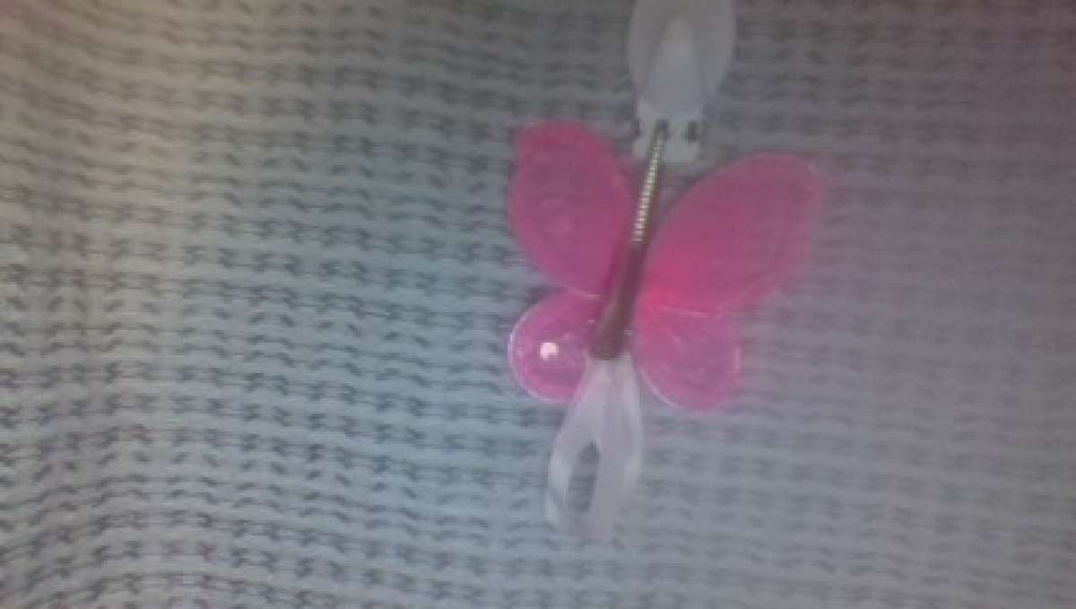hair clip
