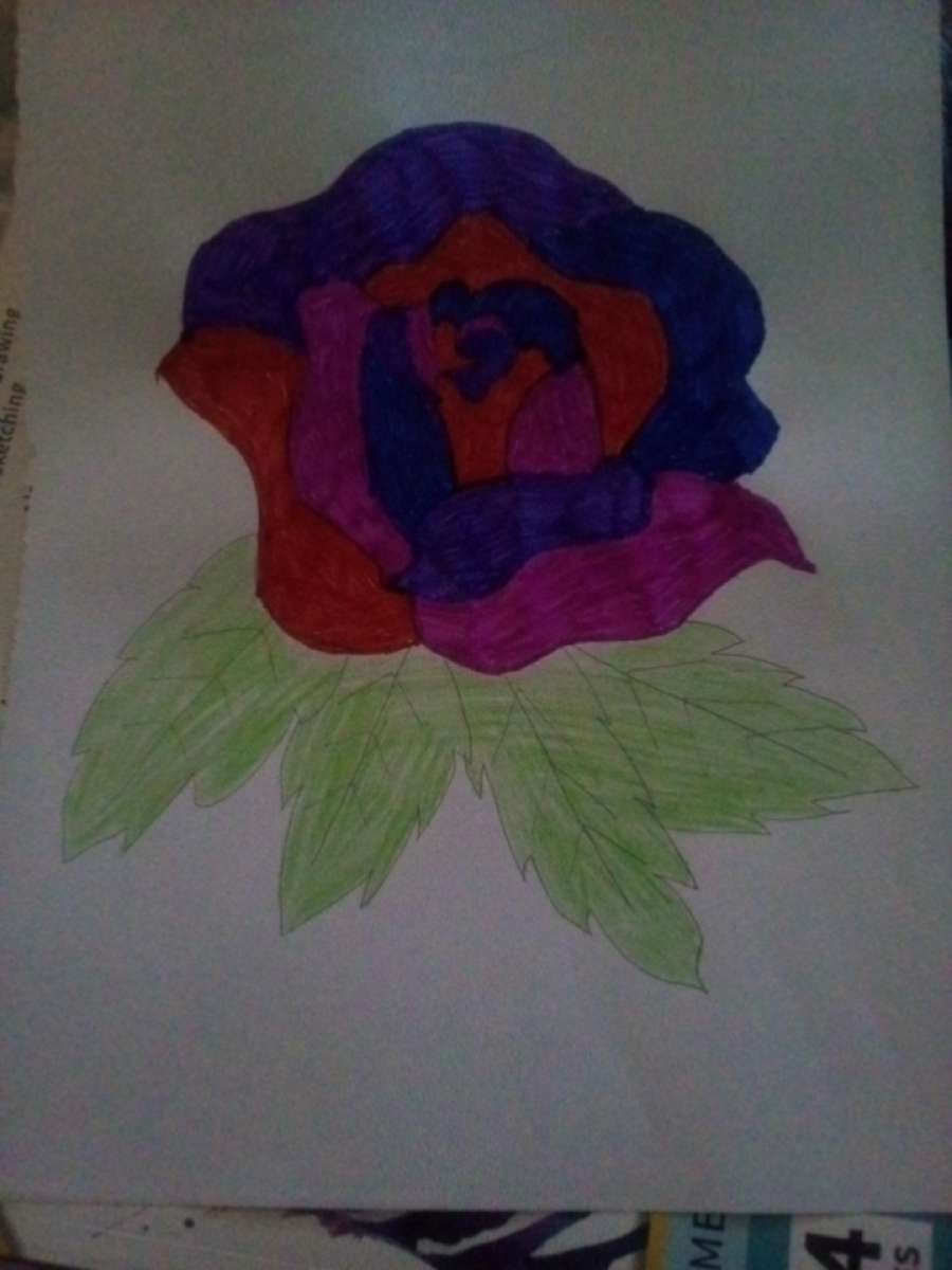 rose drawing
