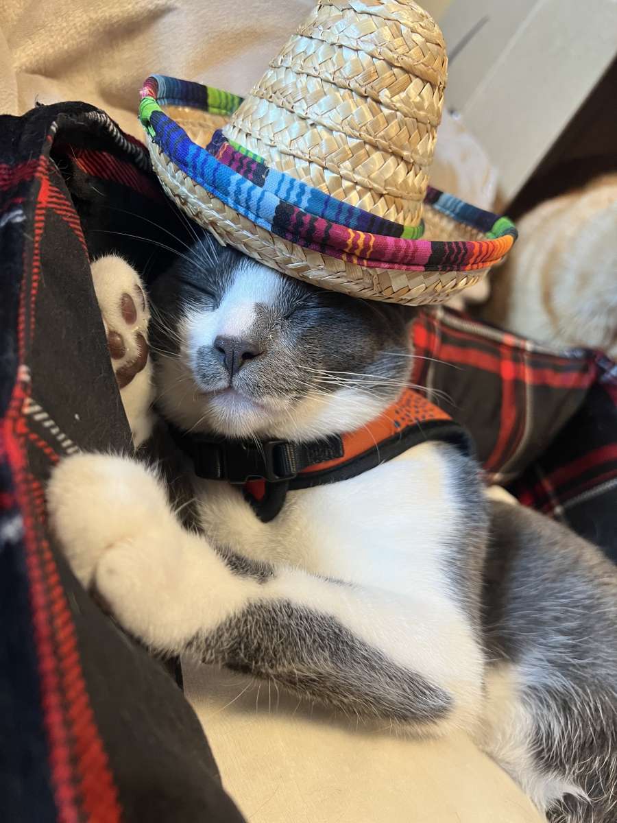 sombrero straw hat for dolls