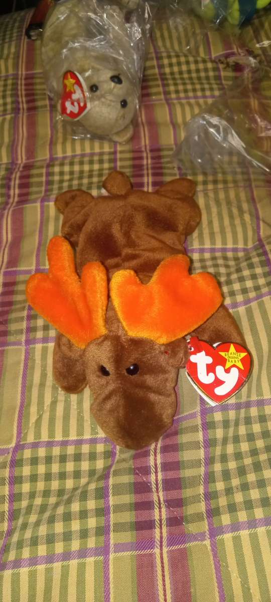 ty chocolate beanie baby moouse 1993