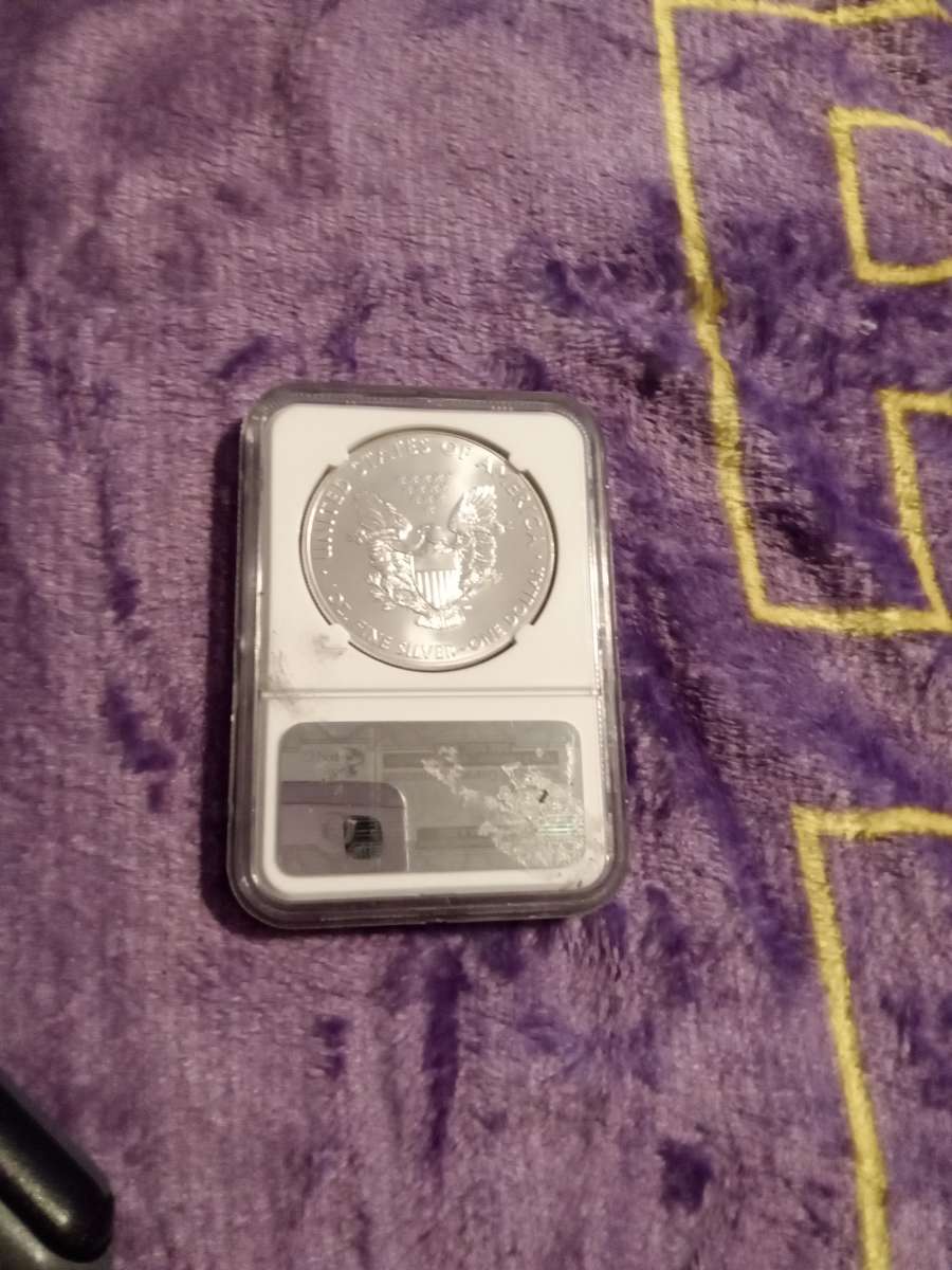 2013 american silver eagle
